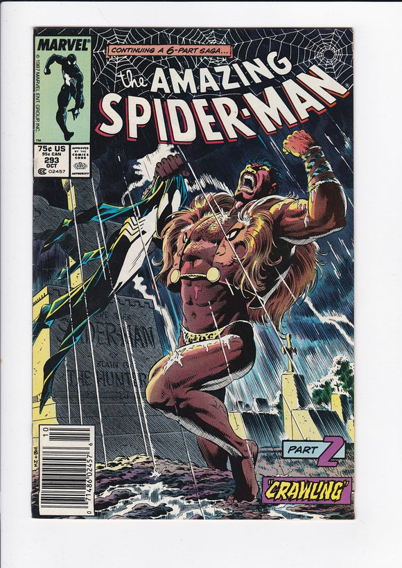 Amazing Spider-Man Vol. 1  # 293  Newsstand