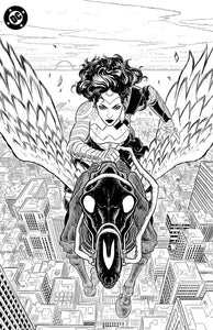 *Pre-Order* ABSOLUTE WONDER WOMAN NOIR EDITION #1 (ONE SHOT) CVR C HAYDEN SHERMAN FOIL VAR