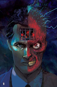 *Pre-Order* TWO-FACE #2 (OF 6) CVR B CHRISTIAN WARD CARD STOCK VAR