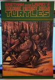 Teenage Mutant Ninja Turtles  Vol. 1  # 31  (1990)