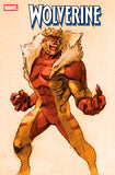 *Pre-Order* BENGUS MARVEL VS. CAPCOM 9 COVER BUNDLE