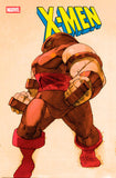 *Pre-Order* BENGUS MARVEL VS. CAPCOM 9 COVER BUNDLE