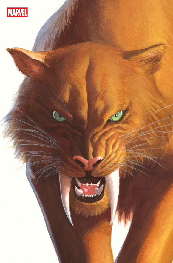 BLACK CAT #2 ALEX ROSS TIMELESS VIRGIN VARIANT (2025)