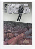 Walking Dead  # 100  Adlard Wraparound Variant