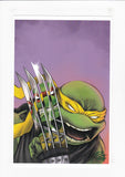 Teenage Mutant Ninja Turtles: Jennika  (One Shot)  Rooth Exclusive Variant With Print