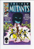 New Mutants Vol. 1  # 49