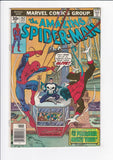 Amazing Spider-Man Vol. 1  # 162