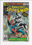 Amazing Spider-Man Vol. 1  # 190