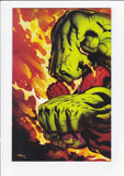 Hulk Vol. 3  # 24