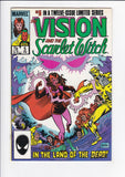Vision and the Scarlet Witch Vol. 2  # 1-12  Complete Set