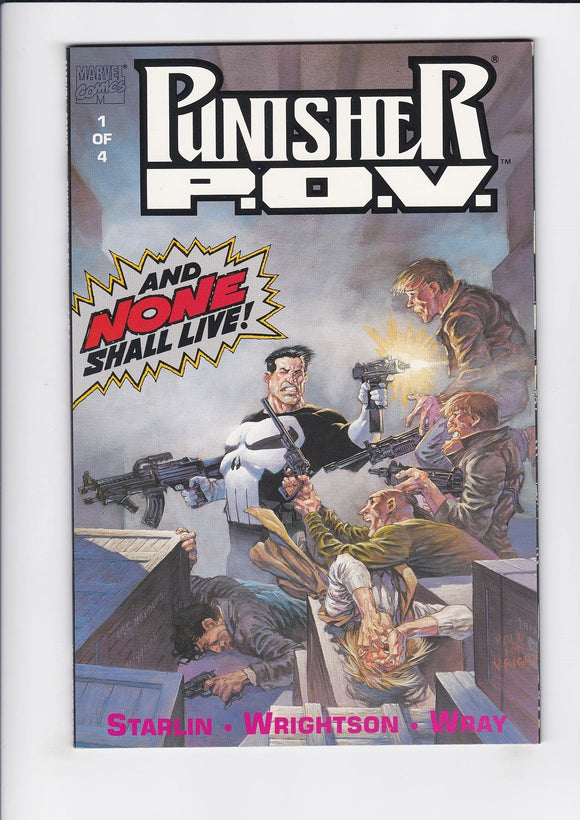 Punisher: P.O.V.  # 1