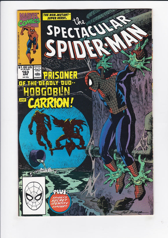 Spectacular Spider-Man Vol. 1  # 169