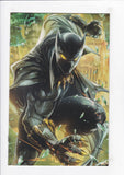 Black Panther Vol. 7  # 5  Battle Lines Variant
