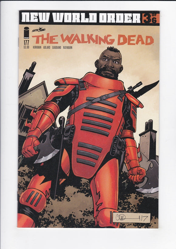 Walking Dead  # 177