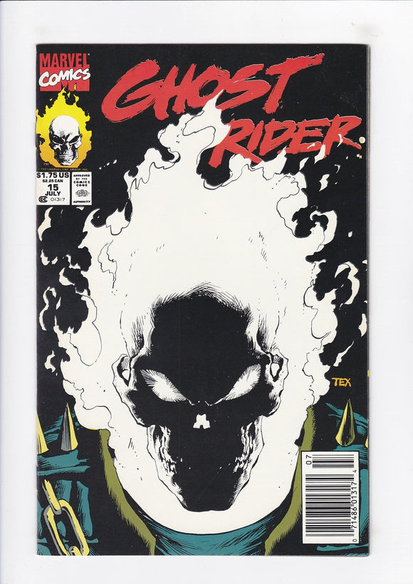 Ghost Rider Vol. 2  # 15  Newsstand