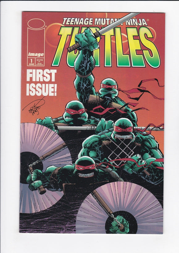 Teenage Mutant Ninja Turtles Vol. 3  # 1