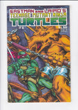 Teenage Mutant Ninja Turtles Vol. 1  # 6