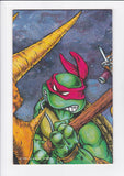 Teenage Mutant Ninja Turtles Vol. 1  # 6