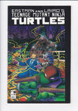 Teenage Mutant Ninja Turtles Vol. 1  # 9