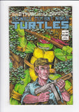 Teenage Mutant Ninja Turtles Vol. 1  # 12