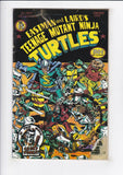 Teenage Mutant Ninja Turtles Vol. 1  # 15