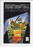 Teenage Mutant Ninja Turtles Vol. 1  # 16