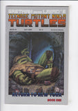 Teenage Mutant Ninja Turtles Vol. 1  # 19