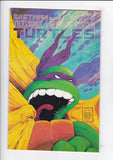 Teenage Mutant Ninja Turtles Vol. 1  # 22
