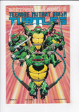 Teenage Mutant Ninja Turtles Vol. 1  # 24