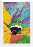 Teenage Mutant Ninja Turtles Vol. 1  # 22