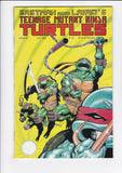 Teenage Mutant Ninja Turtles Vol. 1  # 26