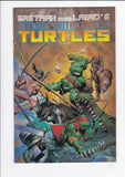Teenage Mutant Ninja Turtles Vol. 1  # 33