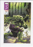 Hulk Vol. 6  # 2  Segovia Exclusive Variant