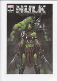 Hulk Vol. 6  # 4  Ngu Exclusive Variant