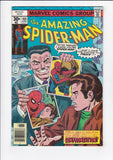 Amazing Spider-Man Vol. 1  # 169