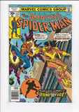 Amazing Spider-Man Vol. 1  # 172