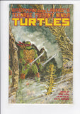 Teenage Mutant Ninja Turtles Vol. 1  # 37