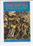 Teenage Mutant Ninja Turtles Vol. 1  # 35