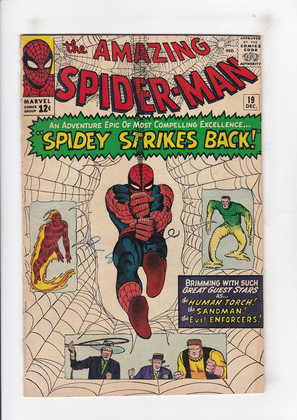 Amazing Spider-Man  Vol. 1  # 19