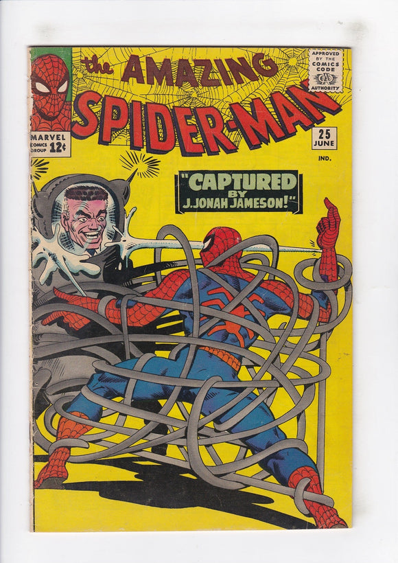 Amazing Spider-Man  Vol. 1  # 25