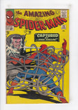 Amazing Spider-Man  Vol. 1  # 25