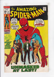 Amazing Spider-Man  Vol. 1  # 87