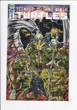 Teenage Mutant Ninja Turtles Vol. 6  # 132  Rockwood Exclusive Variant