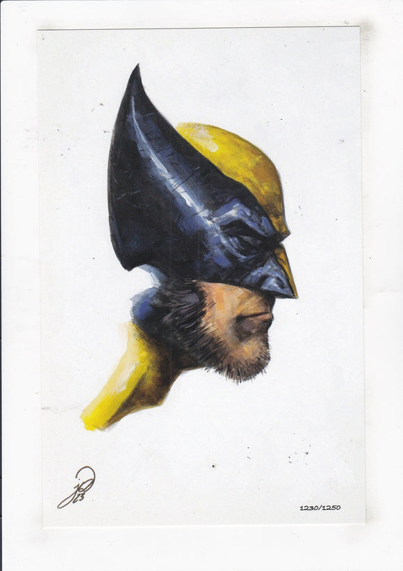 Wolverine Print by Johnny Desjardins