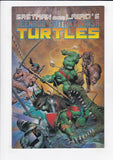 Teenage Mutant Ninja Turtles  Vol. 1  # 33  (1990)
