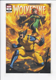 Wolverine  Vol. 8  # 5  Ejikure Exclusive Variant  (2025)