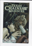 Texas Chainsaw Massacre: The Grind  # 2  (2006)