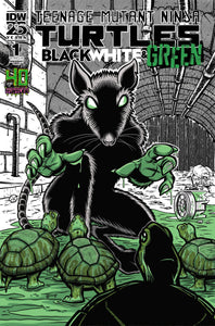 Teenage Mutant Ninja Turtles: Black, White, and Green #1 Variant B (Stokoe)
