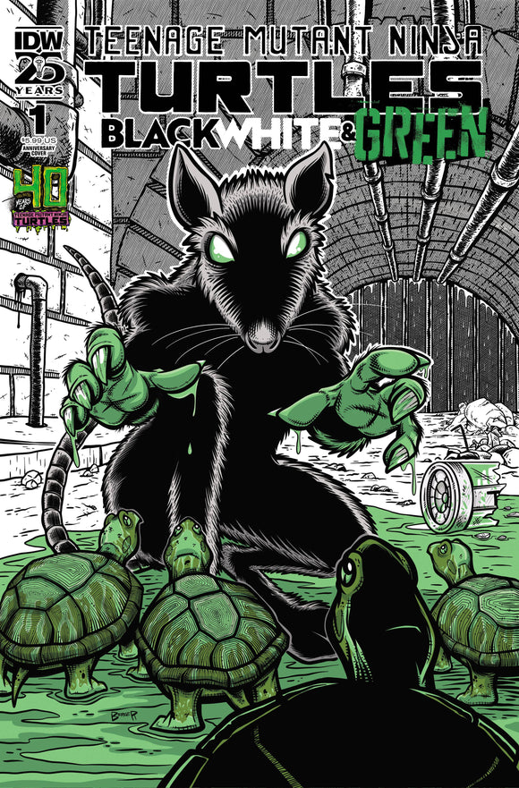 Teenage Mutant Ninja Turtles: Black, White, and Green #1 Variant B (Stokoe)