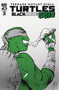 Teenage Mutant Ninja Turtles: Black, White, and Green #3 Variant RI (10) (Pope Foil Variant) [1:10]
